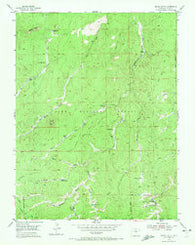 Signal Butte Colorado Historical topographic map, 1:24000 scale, 7.5 X 7.5 Minute, Year 1954
