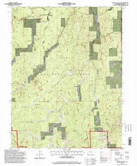 Signal Butte Colorado Historical topographic map, 1:24000 scale, 7.5 X 7.5 Minute, Year 1994