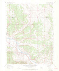 Smizer Gulch Colorado Historical topographic map, 1:24000 scale, 7.5 X 7.5 Minute, Year 1966