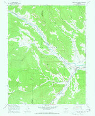 South Fork West Colorado Historical topographic map, 1:24000 scale, 7.5 X 7.5 Minute, Year 1967