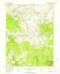 Spicer Peak Colorado Historical topographic map, 1:24000 scale, 7.5 X 7.5 Minute, Year 1956