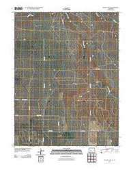 Stanley Gulch Colorado Historical topographic map, 1:24000 scale, 7.5 X 7.5 Minute, Year 2010