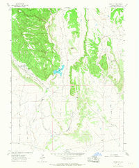 Stone City Colorado Historical topographic map, 1:24000 scale, 7.5 X 7.5 Minute, Year 1963