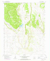 Stone City Colorado Historical topographic map, 1:24000 scale, 7.5 X 7.5 Minute, Year 1963
