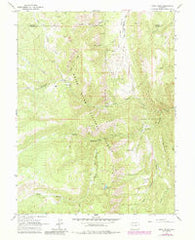 Stony Ridge Colorado Historical topographic map, 1:24000 scale, 7.5 X 7.5 Minute, Year 1963
