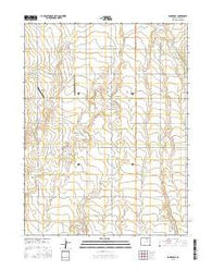 Sunnydale Colorado Current topographic map, 1:24000 scale, 7.5 X 7.5 Minute, Year 2016