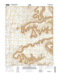 Tanner Mesa Colorado Current topographic map, 1:24000 scale, 7.5 X 7.5 Minute, Year 2016