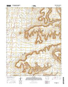 Tanner Mesa Colorado Current topographic map, 1:24000 scale, 7.5 X 7.5 Minute, Year 2016