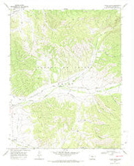 Taylor Ranch Colorado Historical topographic map, 1:24000 scale, 7.5 X 7.5 Minute, Year 1967