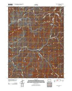 Texas Creek Colorado Historical topographic map, 1:24000 scale, 7.5 X 7.5 Minute, Year 2010