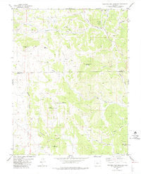 Thirtyone Mile Mountain Colorado Historical topographic map, 1:24000 scale, 7.5 X 7.5 Minute, Year 1983