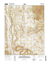 Tiffany Colorado Current topographic map, 1:24000 scale, 7.5 X 7.5 Minute, Year 2016