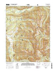 Tincup Colorado Current topographic map, 1:24000 scale, 7.5 X 7.5 Minute, Year 2016