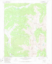 Tincup Colorado Historical topographic map, 1:24000 scale, 7.5 X 7.5 Minute, Year 1982