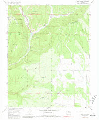 Trail Canyon Colorado Historical topographic map, 1:24000 scale, 7.5 X 7.5 Minute, Year 1966