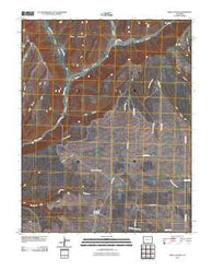 Trail Canyon Colorado Historical topographic map, 1:24000 scale, 7.5 X 7.5 Minute, Year 2010