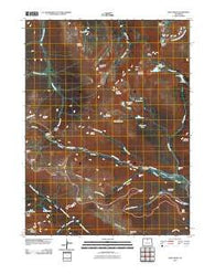 Trail Ridge Colorado Historical topographic map, 1:24000 scale, 7.5 X 7.5 Minute, Year 2010