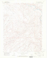 Triangle Mesa Colorado Historical topographic map, 1:24000 scale, 7.5 X 7.5 Minute, Year 1969