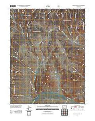 Trickle Mountain Colorado Historical topographic map, 1:24000 scale, 7.5 X 7.5 Minute, Year 2011