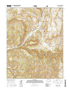 Trujillo Colorado Current topographic map, 1:24000 scale, 7.5 X 7.5 Minute, Year 2016