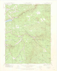 Tungsten Colorado Historical topographic map, 1:24000 scale, 7.5 X 7.5 Minute, Year 1942