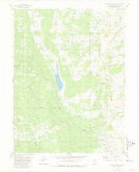 Tyler Mountain Colorado Historical topographic map, 1:24000 scale, 7.5 X 7.5 Minute, Year 1980