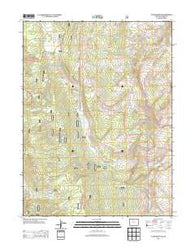 Tyler Mountain Colorado Historical topographic map, 1:24000 scale, 7.5 X 7.5 Minute, Year 2013