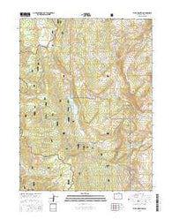 Tyler Mountain Colorado Current topographic map, 1:24000 scale, 7.5 X 7.5 Minute, Year 2016