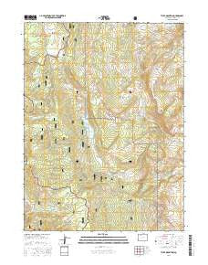 Tyler Mountain Colorado Current topographic map, 1:24000 scale, 7.5 X 7.5 Minute, Year 2016