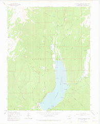 Vallecito Reservoir Colorado Historical topographic map, 1:24000 scale, 7.5 X 7.5 Minute, Year 1964