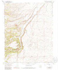 Vicente Canyon Colorado Historical topographic map, 1:24000 scale, 7.5 X 7.5 Minute, Year 1967