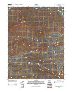Wagon Track Ridge Colorado Historical topographic map, 1:24000 scale, 7.5 X 7.5 Minute, Year 2010