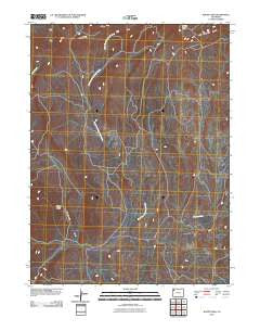 Wapiti Peak Colorado Historical topographic map, 1:24000 scale, 7.5 X 7.5 Minute, Year 2010