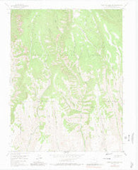 West Elk Peak SW Colorado Historical topographic map, 1:24000 scale, 7.5 X 7.5 Minute, Year 1954
