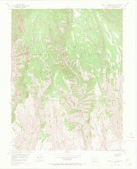 West Elk Peak SW Colorado Historical topographic map, 1:24000 scale, 7.5 X 7.5 Minute, Year 1954