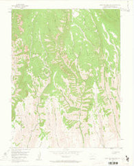 West Elk Peak SW Colorado Historical topographic map, 1:24000 scale, 7.5 X 7.5 Minute, Year 1954