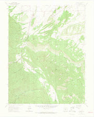 Wetmore Colorado Historical topographic map, 1:24000 scale, 7.5 X 7.5 Minute, Year 1963