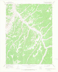 White Coyote Draw Colorado Historical topographic map, 1:24000 scale, 7.5 X 7.5 Minute, Year 1964