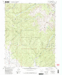 Whitepine Colorado Historical topographic map, 1:24000 scale, 7.5 X 7.5 Minute, Year 1982