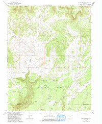 Willow Spring Colorado Historical topographic map, 1:24000 scale, 7.5 X 7.5 Minute, Year 1993