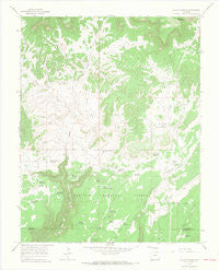 Willow Spring Colorado Historical topographic map, 1:24000 scale, 7.5 X 7.5 Minute, Year 1965
