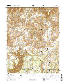 Willow Spring Colorado Current topographic map, 1:24000 scale, 7.5 X 7.5 Minute, Year 2016