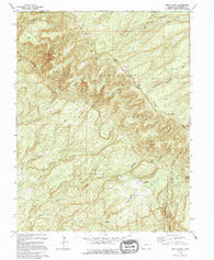 Windy Point Colorado Historical topographic map, 1:24000 scale, 7.5 X 7.5 Minute, Year 1994