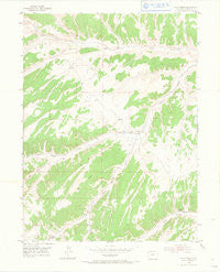 Wolf Ridge Colorado Historical topographic map, 1:24000 scale, 7.5 X 7.5 Minute, Year 1952