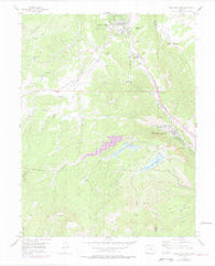 Woodland Park Colorado Historical topographic map, 1:24000 scale, 7.5 X 7.5 Minute, Year 1954