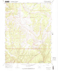Zenobia Peak Colorado Historical topographic map, 1:24000 scale, 7.5 X 7.5 Minute, Year 1966