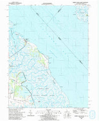 Bombay Hook Island Delaware Historical topographic map, 1:24000 scale, 7.5 X 7.5 Minute, Year 1993