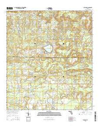 Alford SE Florida Current topographic map, 1:24000 scale, 7.5 X 7.5 Minute, Year 2015