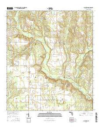Allentown Florida Current topographic map, 1:24000 scale, 7.5 X 7.5 Minute, Year 2015