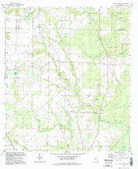 Altha East Florida Historical topographic map, 1:24000 scale, 7.5 X 7.5 Minute, Year 1994